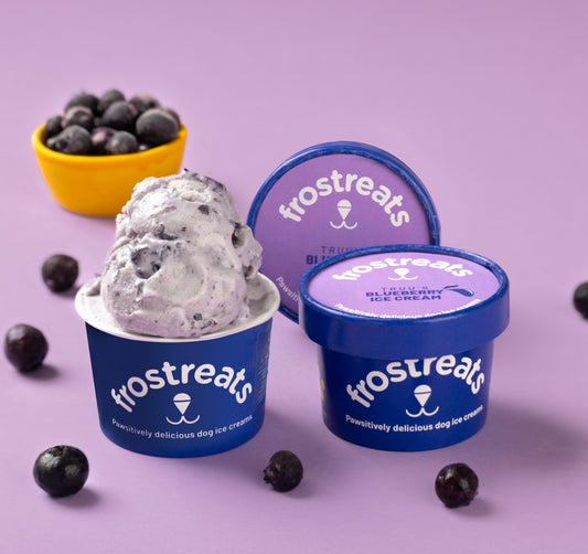 Frostreats Blueberry Ice Cream for Dogs